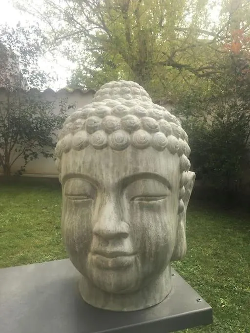 Appartement Tres Calme Avec Jardin Plein Sud Lyon Apartmán
